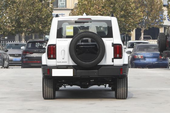  300 5-Door Fuel Powered Car Width 1930mm